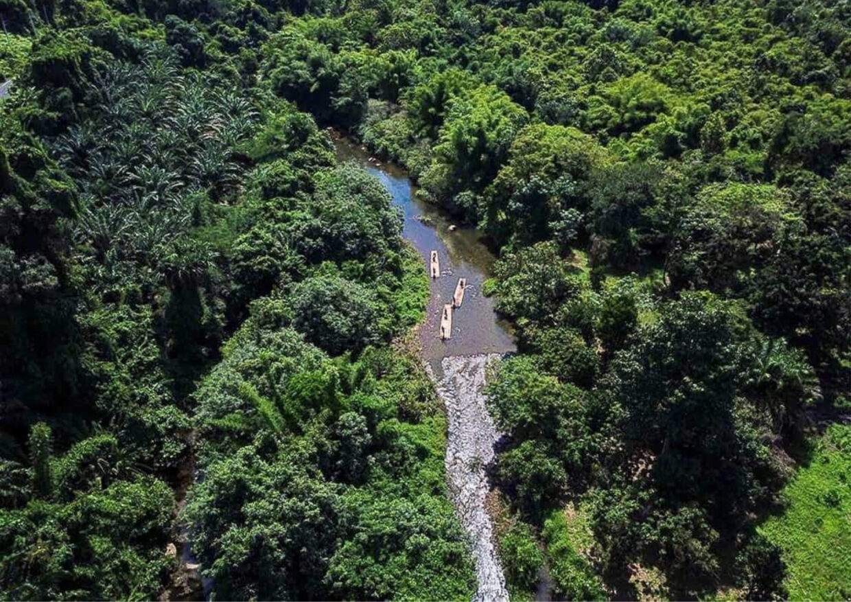 khao-lak-bamboo-rafting
